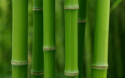 Bambuse kiu pulber koduses kasutuses