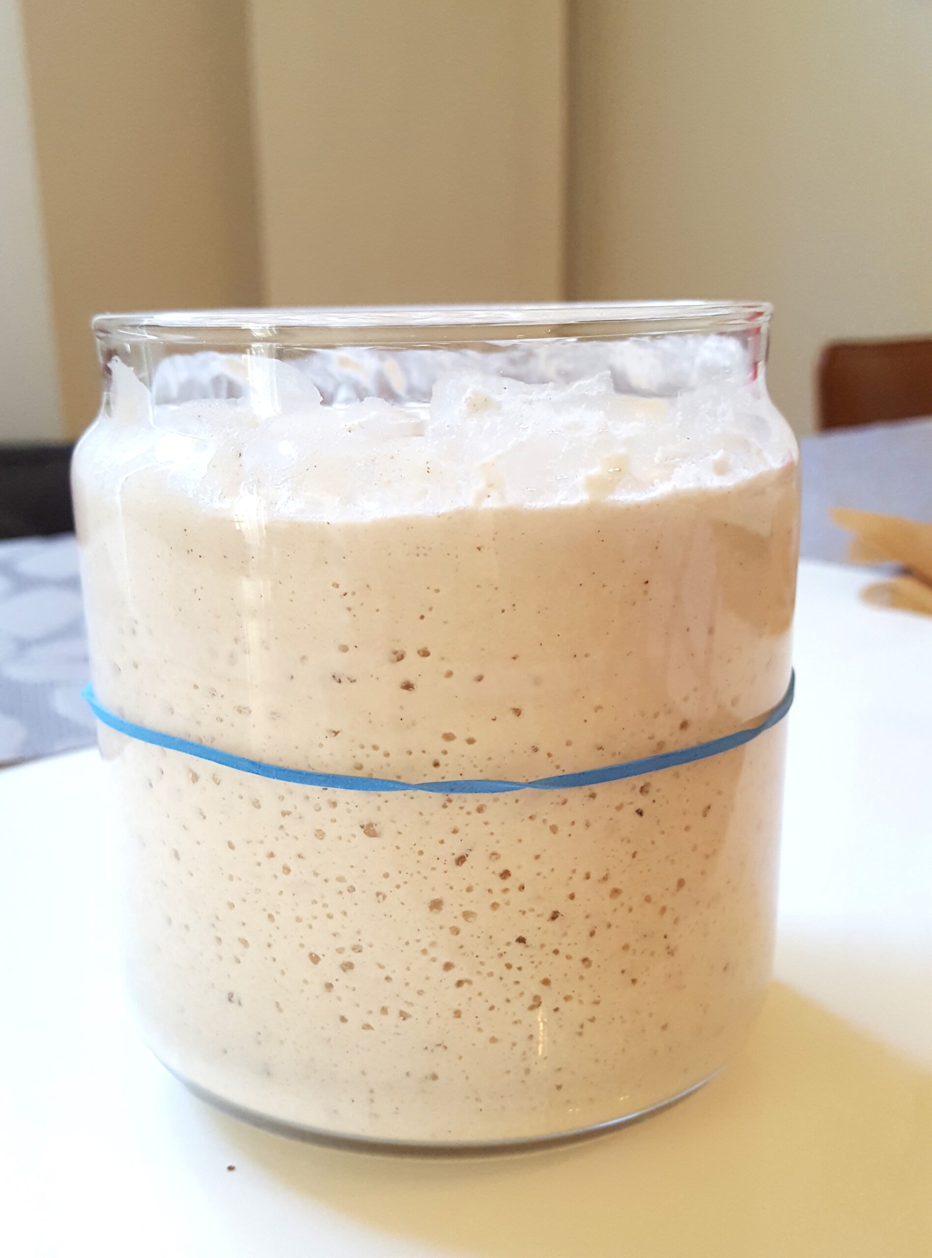gluten-free sourdough starter gluten-free sourdough starter