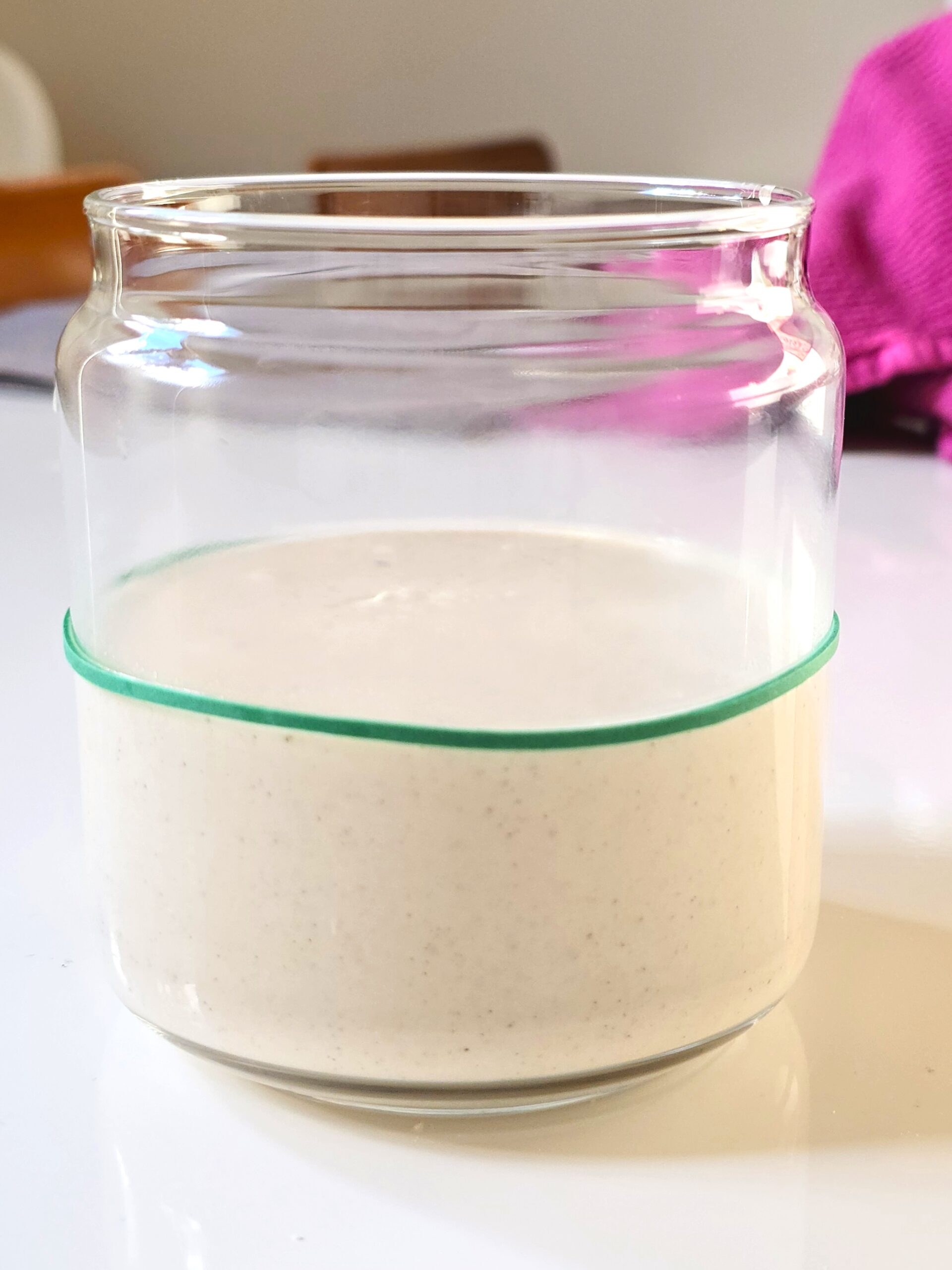 gluten-free sourdough starter gluten-free sourdough starter