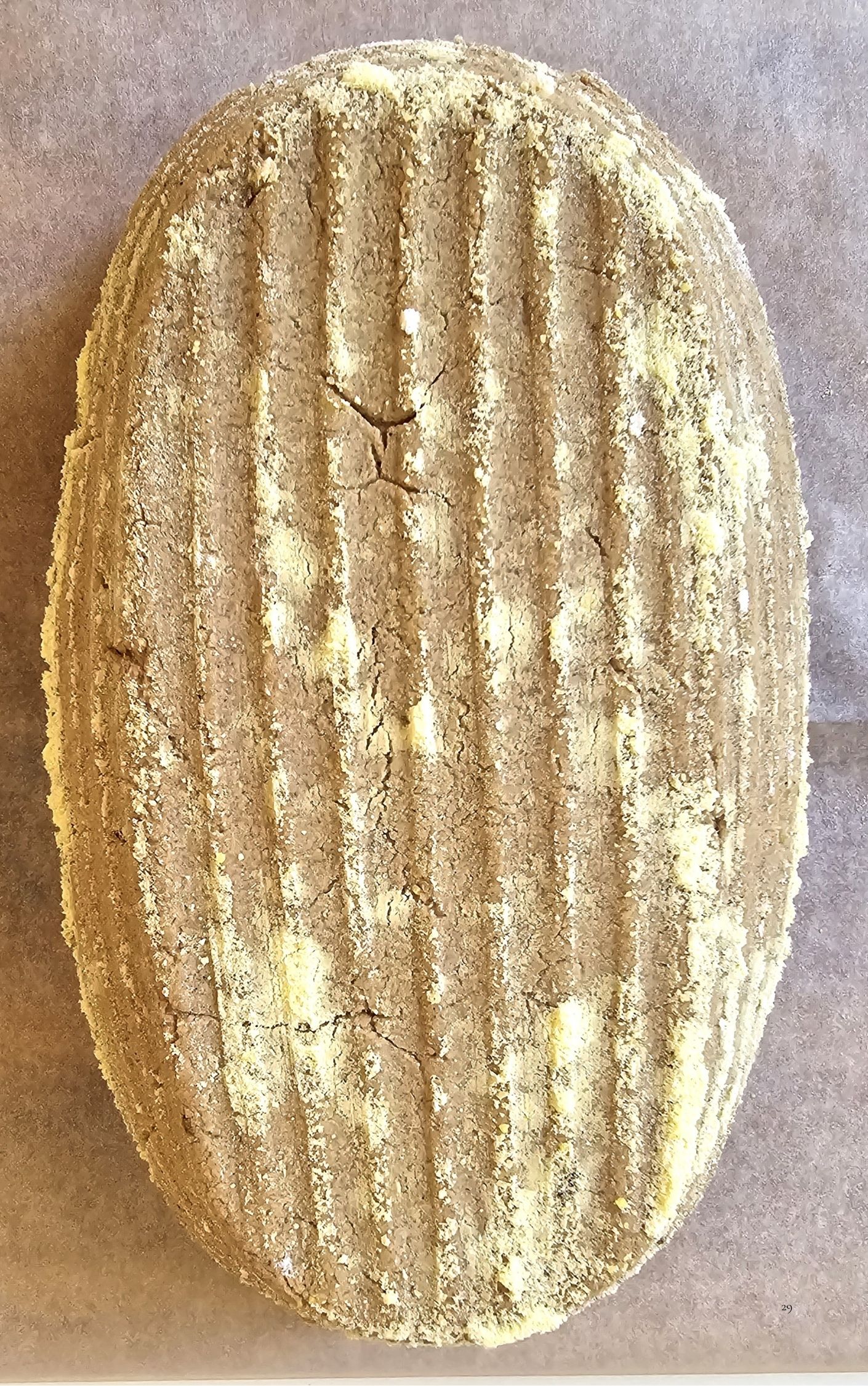 29 gluten free sourdough bread