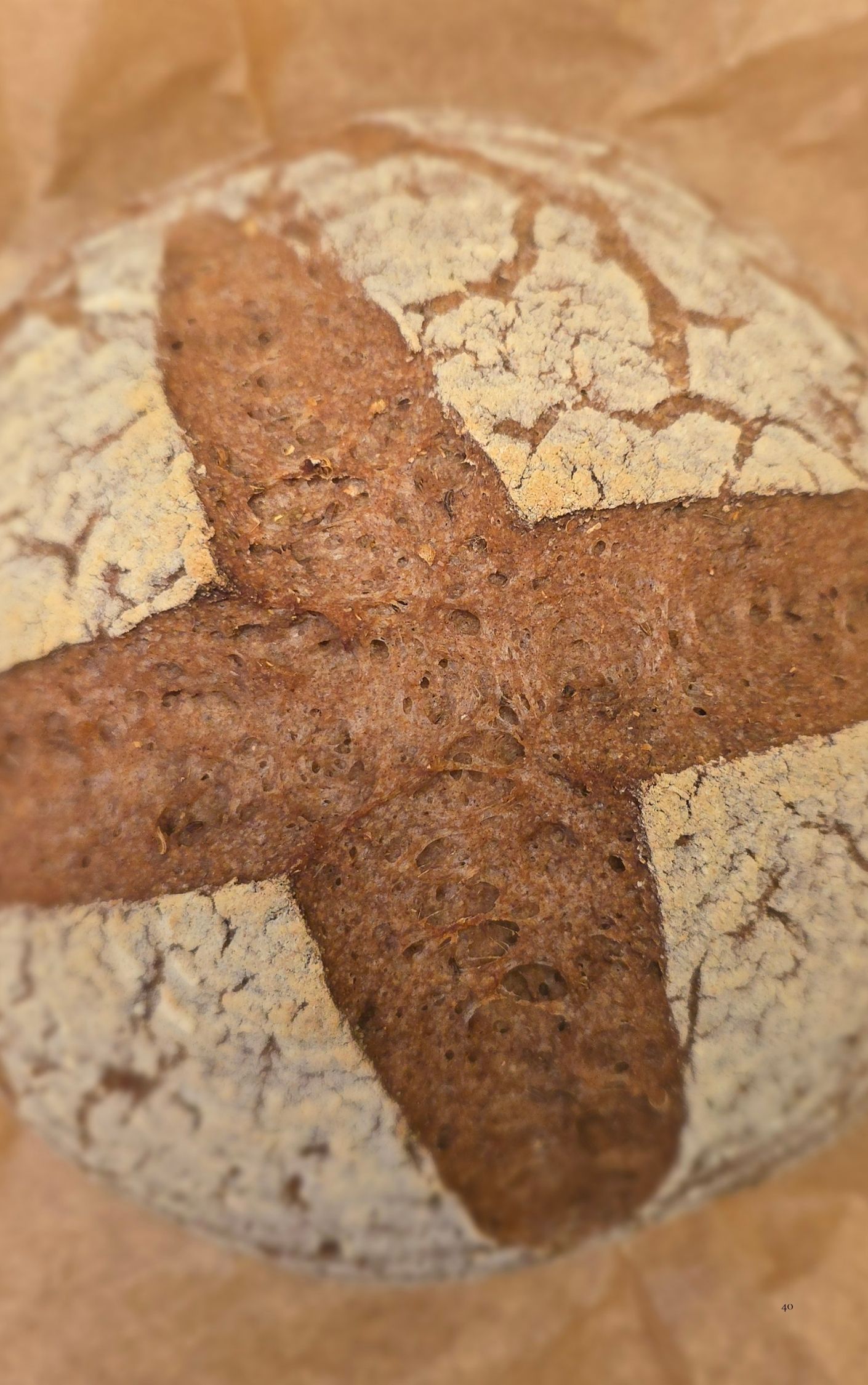 40 gluten free sourdough bread