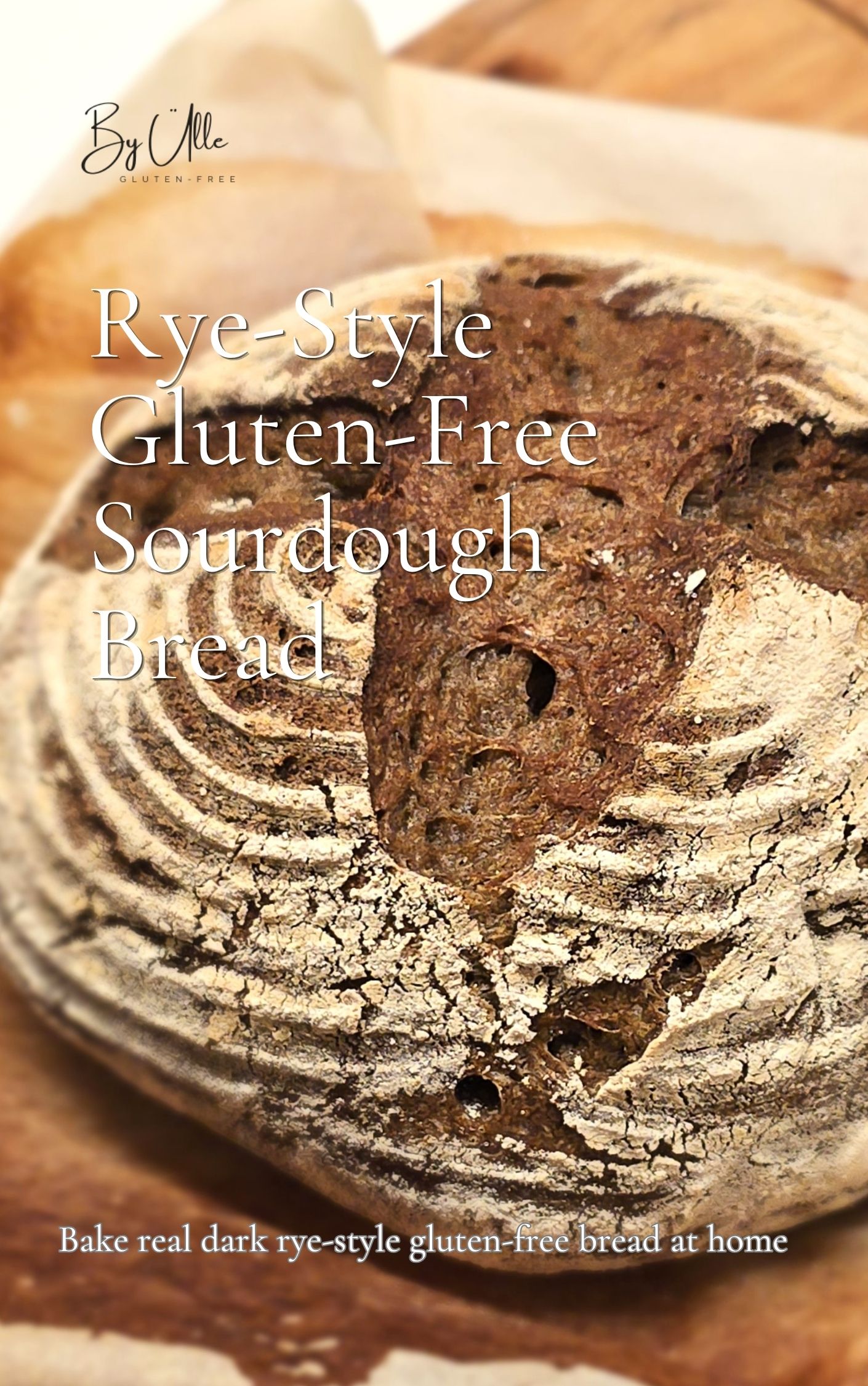 Rye Style Gluten-Free_ebook_cover gluten free sourdough bread