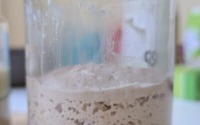 Juuretise ellu äratamine