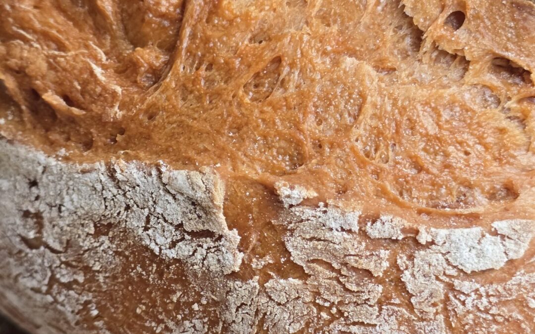 Üks saia moodi sai (pärmiga)