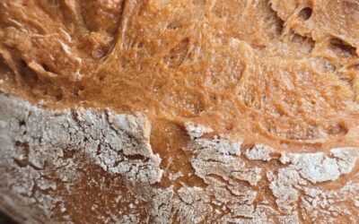 Üks saia moodi sai (pärmiga)